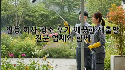 안동 이사 청소 후기: 깨끗한 새출발, 전문 업체와 함께!